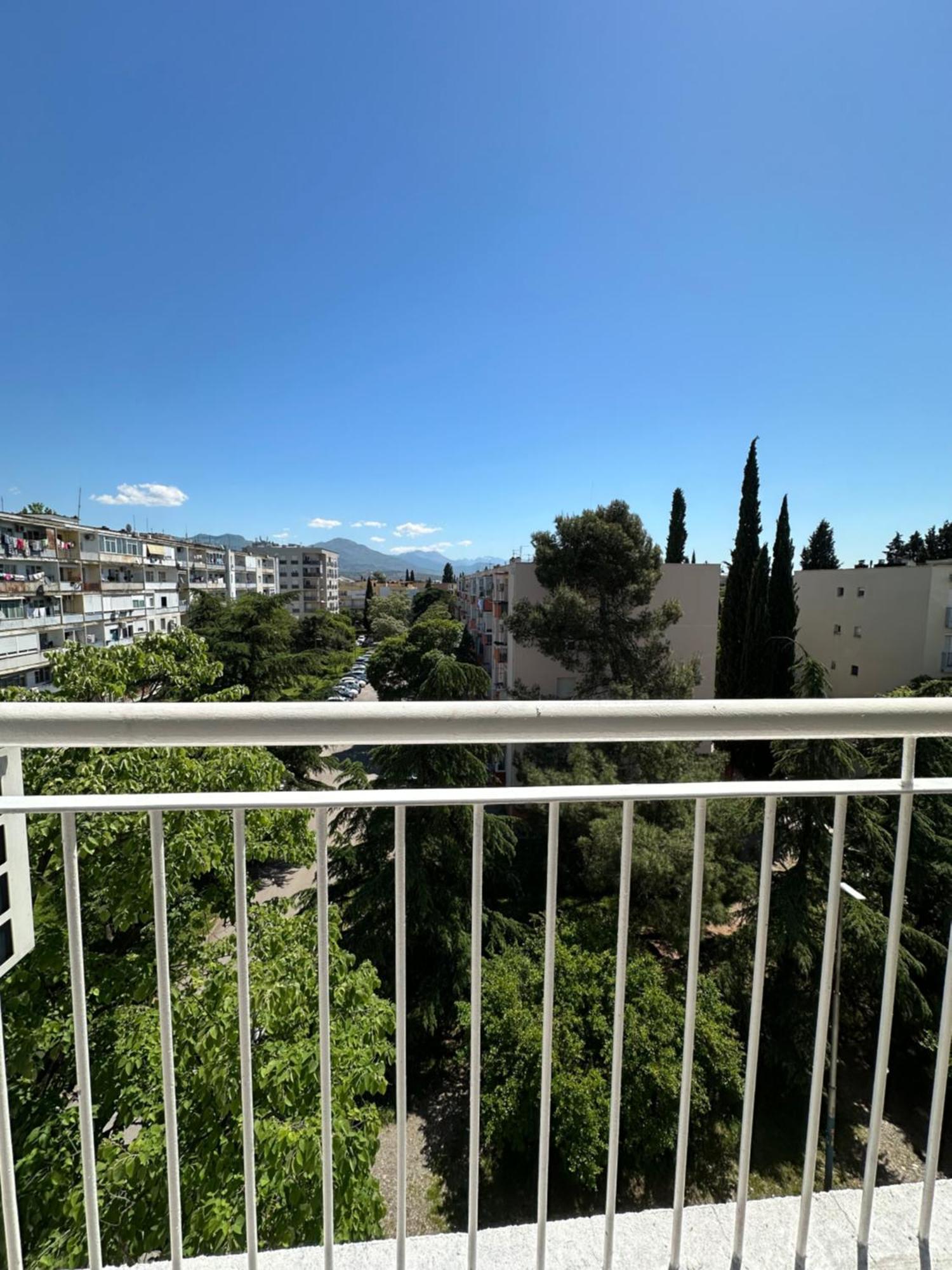 Alex Podgorica